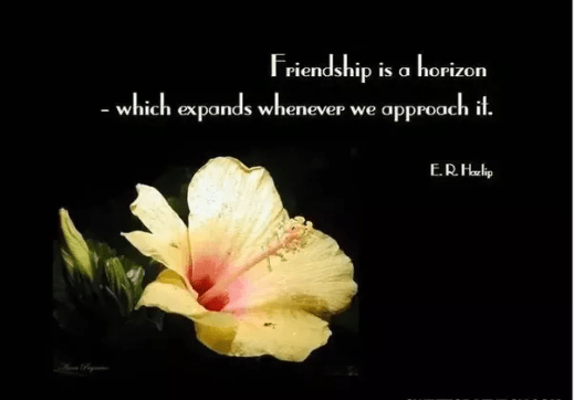 main-qimg-fa101a3d9df4a332c7cc4c19f95be71c.png